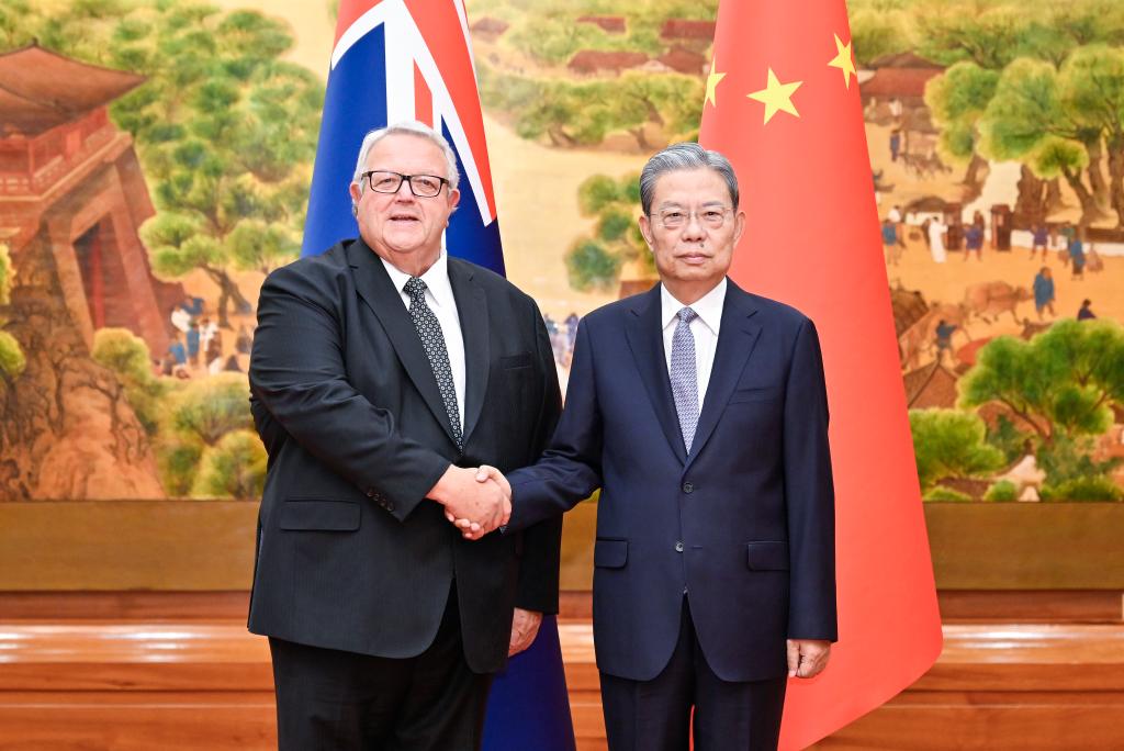 Chefe do Legislativo chinês mantém conversas com presidente da Câmara dos Representantes da Nova Zelândia