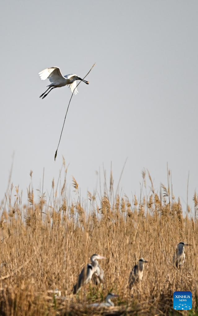 Xinhua/Feng Kaihua