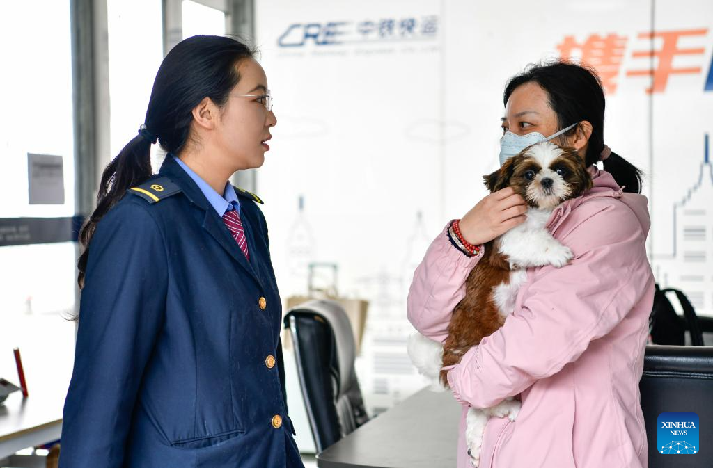 Serviço de transporte de pets em trens de alta velocidade está preparado para movimentação do feriado do Dia do Trabalhador