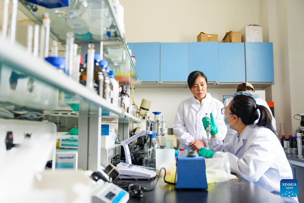 Pesquisadora chinesa em tecnologia microbiana alimentar Zhang Yuhong recebe a Medalha Nacional do Trabalho de 1º de Maio